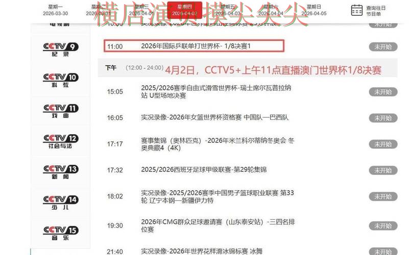 世界杯投注平台实战拆解：聚焦数据分析与赛事直播体验 - 世界杯实时直播